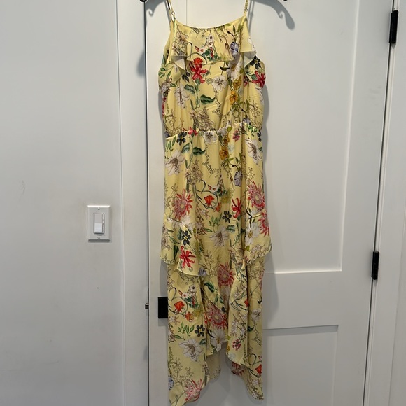 Parker Vanna floral dress - Picture 5 of 6